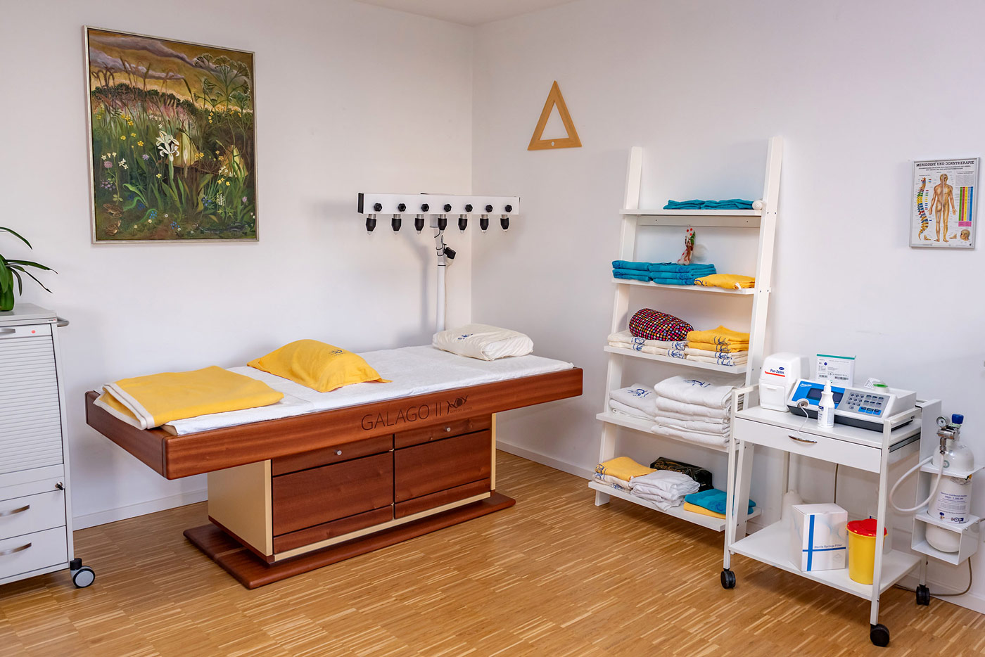Biophotonentherapie